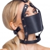 Bad Kitty head harness with a gag