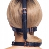 Bad Kitty head harness with a gag