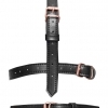 Bad Kitty head harness with a gag