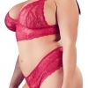 Cottelli Plus Size - Soft Lace Bra Set (Red)