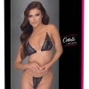 Cottelli - transparent strap bra set (black)